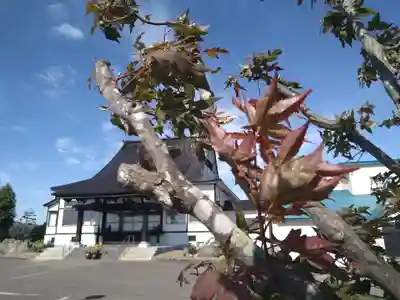 雨竜　専福寺(北海道)