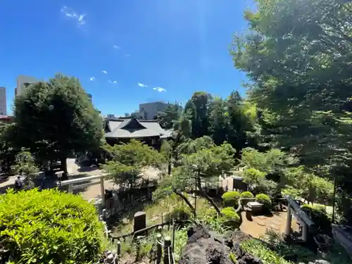 鳩森八幡神社の景色