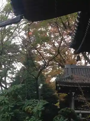 船橋不動尊　寳性寺のその他建物