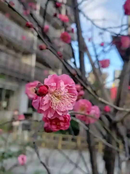 成子天神社(東京都)