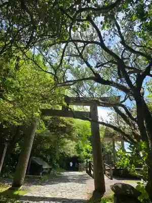 鵜戸神社(大御神社境内社)の{uncategorized: "未分類", other: "その他", undefined: "問題あり", building: "その他建物", grave: "お墓", sacred_gate: "鳥居", guardian: "狛犬", statue: "像", buddha: "仏像", history: "歴史", nature: "自然", garden: "庭園", animal: "動物", pagoda: "塔", temizu: "手水舎", mountain_gate: "山門・神門", sanctuary: "本殿・本堂", subordinate: "末社・摂社", art: "芸術", scenery: "景色", jizo: "地蔵", ema: "絵馬", goshuin: "御朱印", omikuji: "おみくじ", items: "授与品その他", amulet: "お守り", goshuincho: "御朱印帳", eats: "食事", festival: "お祭り", votive_dance: "神楽", shichigosan: "七五三参", wedding: "結婚式", experience: "体験その他", initially: "初詣", around: "周辺", anti_infection: "感染症対策"}