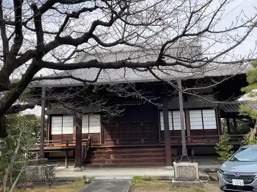 上善寺(京都府)