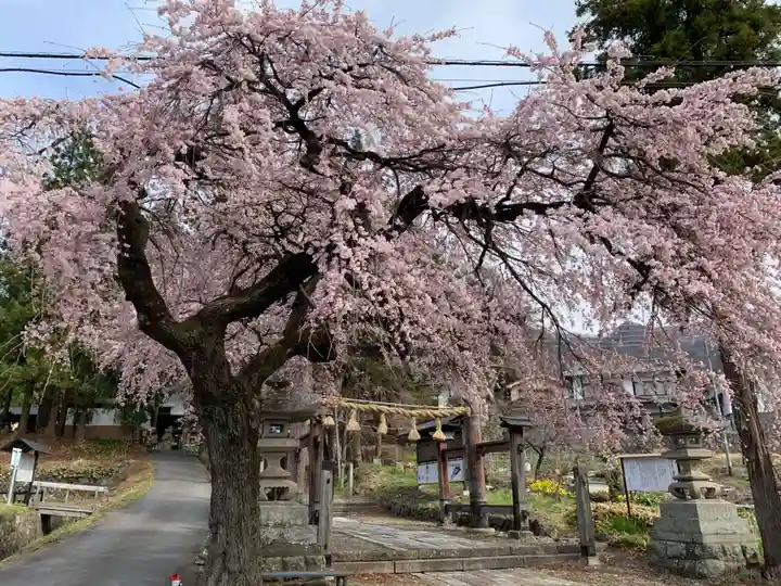 山家神社の自然