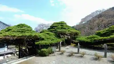 善峯寺(京都府)