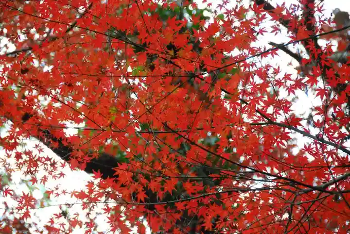 大鳥羽神社(山口県)