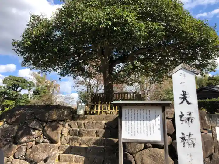 八重垣神社の自然