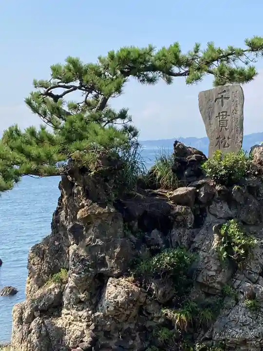 森戸大明神(森戸神社)の自然