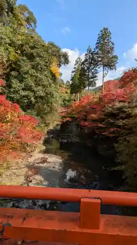西明寺(京都府)