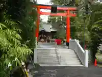 白笹稲荷神社の鳥居