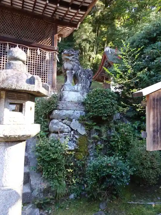 宇治上神社の狛犬