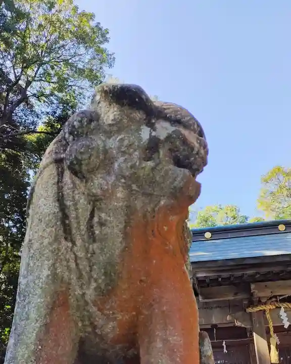 諏訪八幡神社の狛犬