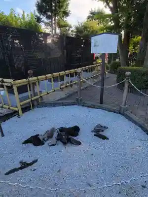 中野沼袋氷川神社のその他建物