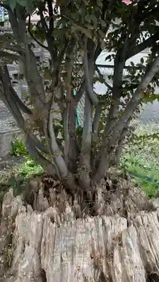 御嶽神社(宮城県)