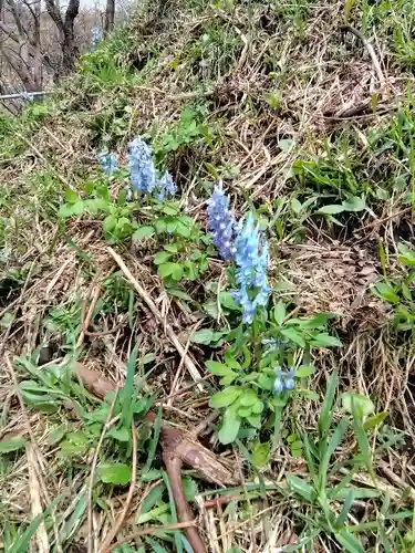 春日高台神社(北海道)