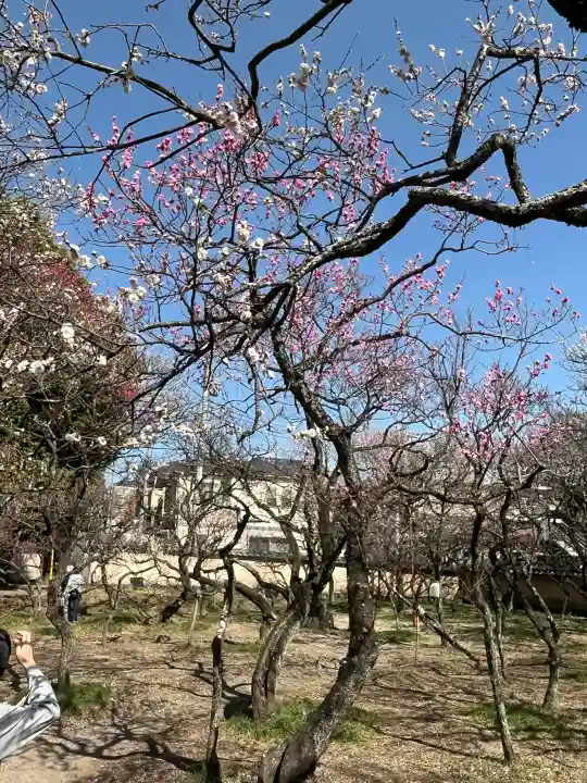谷保天満宮の{uncategorized: "未分類", other: "その他", undefined: "問題あり", building: "その他建物", grave: "お墓", sacred_gate: "鳥居", guardian: "狛犬", statue: "像", buddha: "仏像", history: "歴史", nature: "自然", garden: "庭園", animal: "動物", pagoda: "塔", temizu: "手水舎", mountain_gate: "山門・神門", sanctuary: "本殿・本堂", subordinate: "末社・摂社", art: "芸術", scenery: "景色", jizo: "地蔵", ema: "絵馬", goshuin: "御朱印", omikuji: "おみくじ", items: "授与品その他", amulet: "お守り", goshuincho: "御朱印帳", eats: "食事", festival: "お祭り", votive_dance: "神楽", shichigosan: "七五三参", wedding: "結婚式", experience: "体験その他", initially: "初詣", around: "周辺", anti_infection: "感染症対策"}