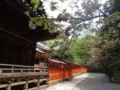 早吸日女神社の建物その他