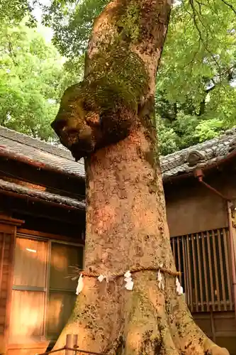 氷川女體神社(埼玉県)