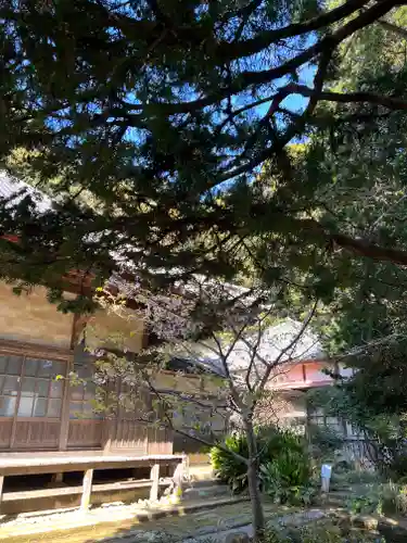 かっぱの寺 栖足寺(静岡県)