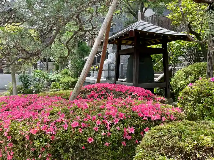 正覚寺(東京都)