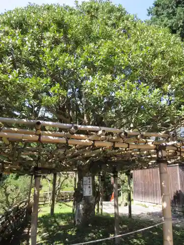 宝厳寺のその他建物