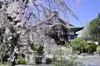 福傳寺(東京都)