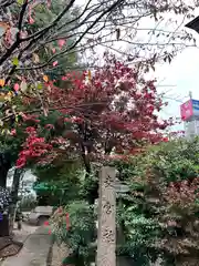 三輪神社の建物その他