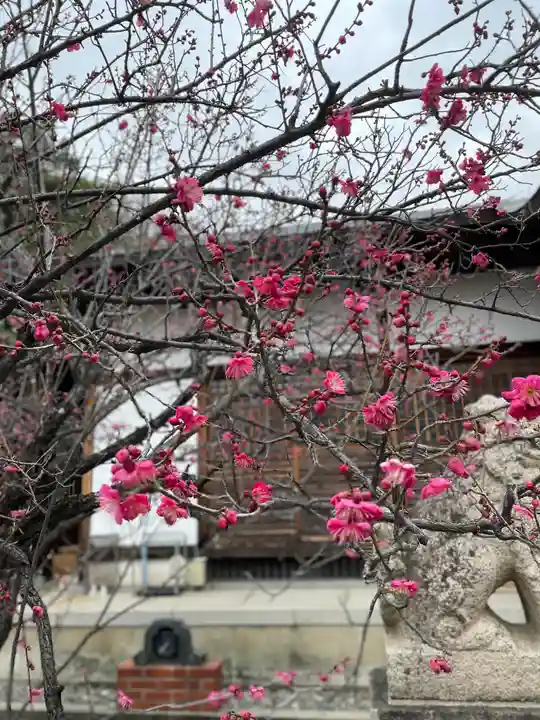 等乃伎神社(大阪府)