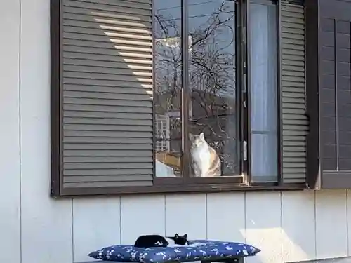 洞昌院のその他建物