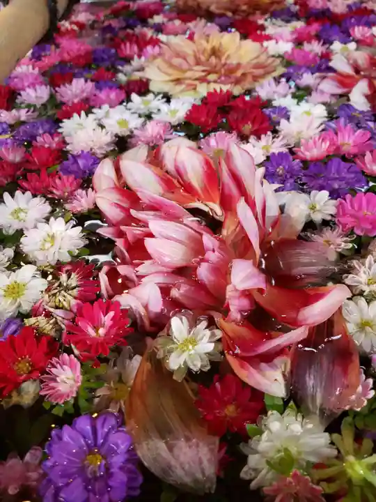高円寺氷川神社の手水舎