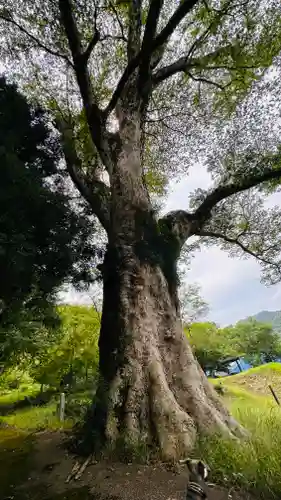 一宮神社(兵庫県)