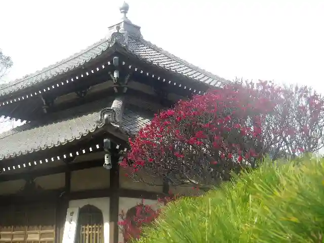 本覚寺の本殿・本堂