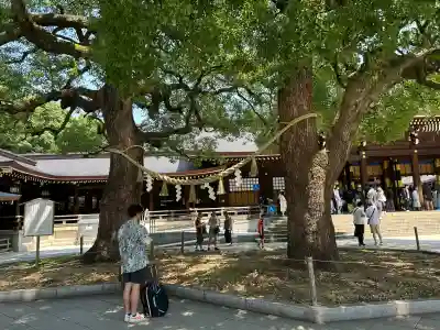 明治神宮(東京都)