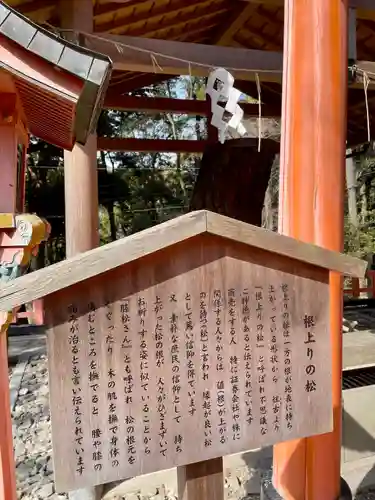 伏見稲荷大社(京都府)