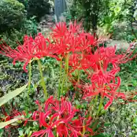 豊景神社の自然