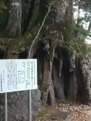 富士山東口本宮 冨士浅間神社の自然
