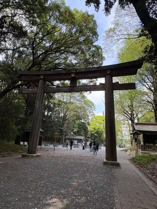 明治神宮(東京都)