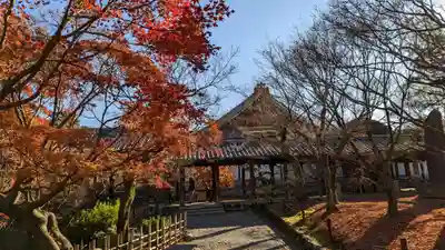 東福禅寺(東福寺)(京都府)