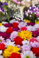 伊達神社の手水舎