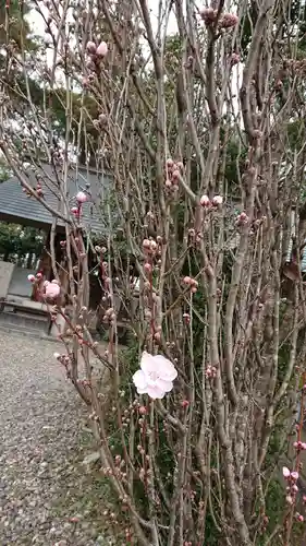 滋賀県護国神社の自然