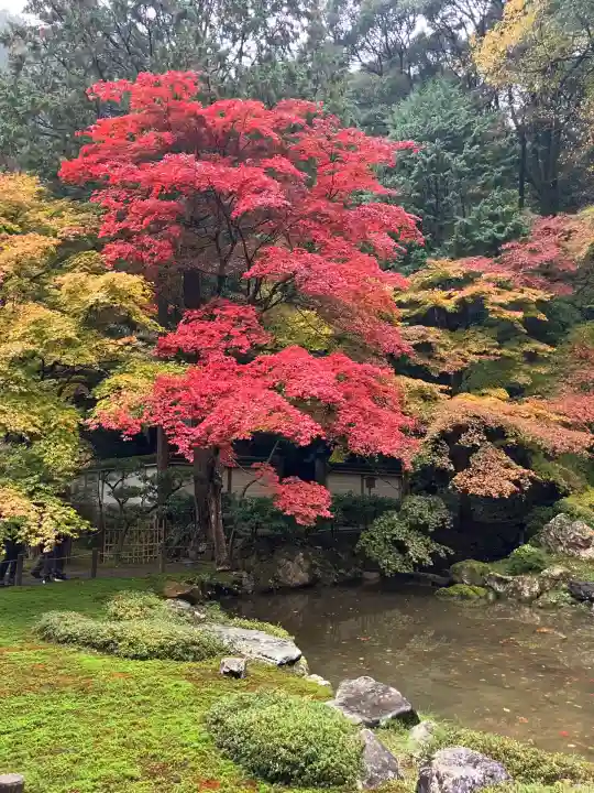 南禅院(京都府)