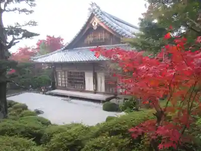 金福寺の本殿・本堂