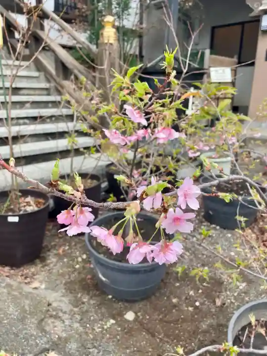 感通寺の{uncategorized: "未分類", other: "その他", undefined: "問題あり", building: "その他建物", grave: "お墓", sacred_gate: "鳥居", guardian: "狛犬", statue: "像", buddha: "仏像", history: "歴史", nature: "自然", garden: "庭園", animal: "動物", pagoda: "塔", temizu: "手水舎", mountain_gate: "山門・神門", sanctuary: "本殿・本堂", subordinate: "末社・摂社", art: "芸術", scenery: "景色", jizo: "地蔵", ema: "絵馬", goshuin: "御朱印", omikuji: "おみくじ", items: "授与品その他", amulet: "お守り", goshuincho: "御朱印帳", eats: "食事", festival: "お祭り", votive_dance: "神楽", shichigosan: "七五三参", wedding: "結婚式", experience: "体験その他", initially: "初詣", around: "周辺", anti_infection: "感染症対策"}