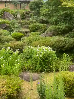 隆国寺(兵庫県)