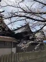 住吉神社の本殿・本堂