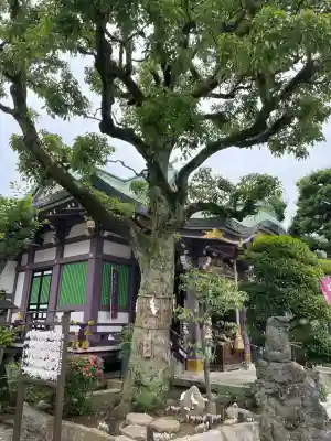 高木神社(東京都)