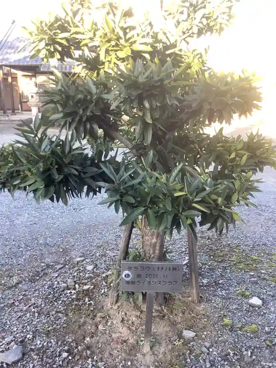 広済寺(愛知県)