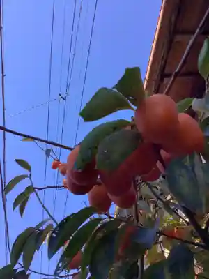 津島神社の周辺