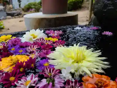 大鏑神社の手水舎