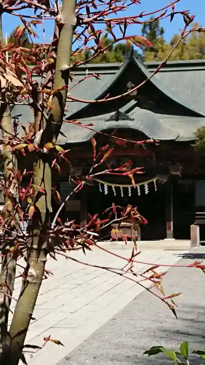 秩父神社の本殿・本堂