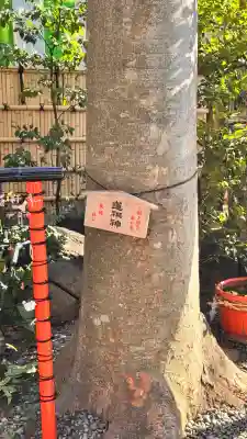 田無神社の{uncategorized: "未分類", other: "その他", undefined: "問題あり", building: "その他建物", grave: "お墓", sacred_gate: "鳥居", guardian: "狛犬", statue: "像", buddha: "仏像", history: "歴史", nature: "自然", garden: "庭園", animal: "動物", pagoda: "塔", temizu: "手水舎", mountain_gate: "山門・神門", sanctuary: "本殿・本堂", subordinate: "末社・摂社", art: "芸術", scenery: "景色", jizo: "地蔵", ema: "絵馬", goshuin: "御朱印", omikuji: "おみくじ", items: "授与品その他", amulet: "お守り", goshuincho: "御朱印帳", eats: "食事", festival: "お祭り", votive_dance: "神楽", shichigosan: "七五三参", wedding: "結婚式", experience: "体験その他", initially: "初詣", around: "周辺", anti_infection: "感染症対策"}